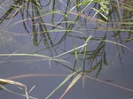 656R0015164.jpg