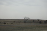 2017-05-07_17-04-22_2017-03-11 10.43.36.jpg
