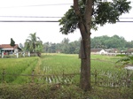 14828IMG_5221.JPG