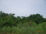 3723RIMG0026.JPG
