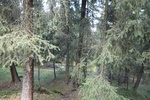 2019-10-16_14-41-43_4E8A6339.JPG