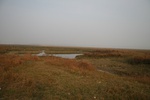 4246IMG_8885.JPG