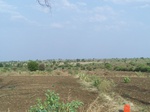 490702052008(99).JPG