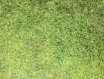 2017-05-29_15-43-53_438C6A8B-0F2C-4267-956A-567D100374F7.jpg