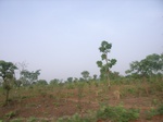 3812RIMG0116.JPG