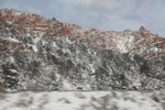 2022-01-19_13-38-46_4E8A1367.JPG