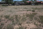 2017-06-19_14-20-20_Frenchies Field SAF 17 June 2017 (5196).JPG
