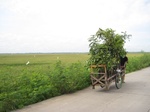 15596IMG_4667.JPG