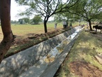 41197CIMG8034.JPG
