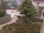 2977 081.jpg