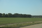 2022-06-11_17-48-46_6F1B3428-F83F-4DEB-9739-40215C54FA5A.jpeg