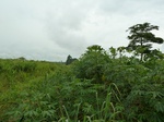 18294P1000130.JPG