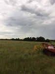 2017-07-01_08-34-18_#CoCoRaHSMJul17_looking north.jpg
