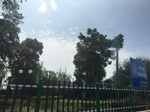 2017-09-12_12-46-28_843EB150-C641-4D91-9FE5-22498E2CD876.jpg