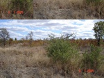 10871gt-076-wetland-seasonal-dry-streambed-02.jpg