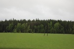 2018-04-14_14-18-48_2017-06-12 06.40.57.jpg