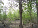 483302052008(3).JPG