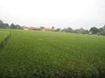 15703IMG_4784.JPG