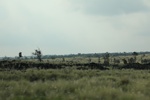 2018-07-06_15-38-54_2018-06-08 13.39.31.jpg