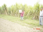6568gt063-cropland-1.jpg