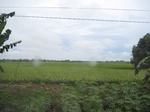 16090IMG_4834.JPG