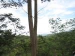 16316IMG_5090.JPG