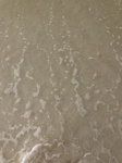 2020-10-25_21-05-59_94EF236E-33EE-4FC8-BE8B-81921B1D10F5.jpg