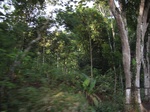 16231IMG_5001.JPG