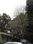 2012-10-11_22-34-45_NC-BK-4-3.JPG