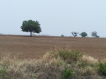 1774723042008(9).JPG