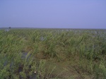 632R0015140.jpg