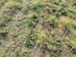 2012-09-24_21-08-54_CIMG0045.JPG