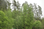 2018-04-14_14-18-41_2017-06-12 05.39.39.jpg