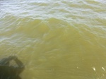 2012-09-21_14-27-03_CIMG0118.JPG