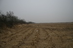 4534IMG_8934.JPG