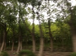 2017-09-12_10-32-54_34B1FAF4-E1C2-4A01-BB6B-5C4CF18C943E.jpg