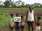 124710128a-rainfed-agriculture-maize.gif