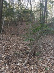 2017-02-22_10-35-31_85B43750-3477-4CB9-B53C-C81E8290754B.jpg