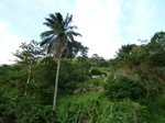 18338P1000174.JPG