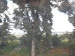 2017-02-02_10-02-14_DSCN0501.JPG