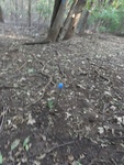 2012-09-24_10-40-00_DSC03060.JPG