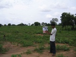 837170-cropland-proposed-cleared-6months-back-b.jpg