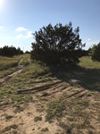 2020-08-03_21-12-40_2020-7-29-18-22-27.jpg