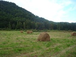 2012-09-19_15-52-14_NC-YN-4-4.jpg