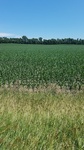 2017-07-09_11-32-09_IMG_20170706_142152.jpg