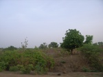 3836RIMG0140.JPG
