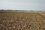 2021-03-16_05-29-58_2021-3-16-14-44-35.jpg