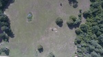 2017-06-12_13-57-39_DJI_0096.jpg