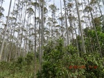 2012-09-26_20-49-51_CIMG0969.JPG