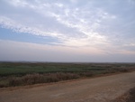 4583RIMG0031-1.JPG